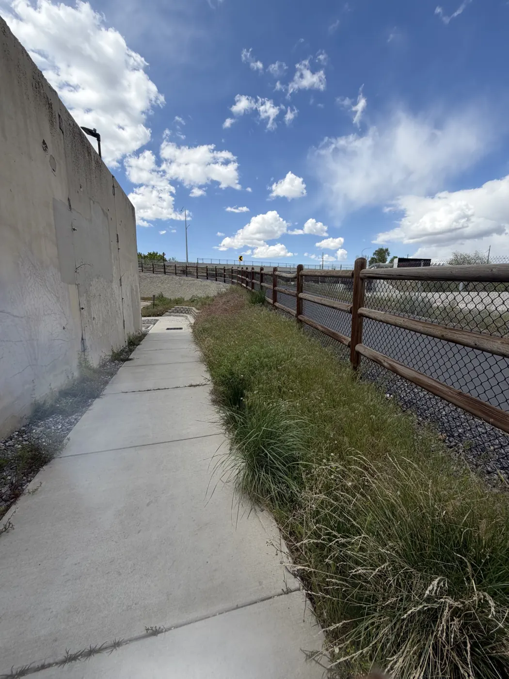 Before: Overgrown commercial walkway, mowed